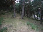Foto24.JPG