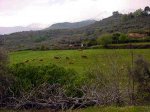 fotos de villarejo 3.jpg