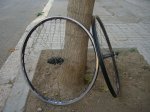 CIMG1991r.jpg