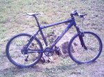 PICT0605.JPG