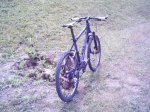 PICT0606.JPG