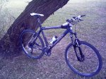 PICT0618.JPG