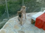 07082008.jpg