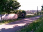 27062008(016).jpg