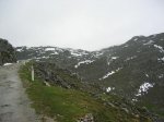 65.jpg