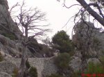 DSC00903.JPG