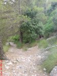 DSC00904.JPG