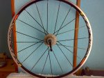 08082008017.jpg