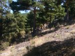 Foto5.JPG