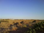 DSC08610.jpg