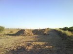 DSC08611.jpg