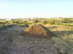 DSC08614.jpg