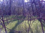 LM_0101.jpg