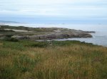 DSC01806.jpg