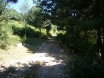 Foto4.JPG