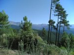 Por guisando 10- 08 - 2008 005.jpg