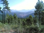 Por guisando 10- 08 - 2008 007.jpg