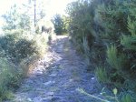 Por guisando 10- 08 - 2008 013.jpg