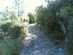 Por guisando 10- 08 - 2008 015.jpg