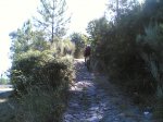 Por guisando 10- 08 - 2008 018.jpg