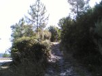 Por guisando 10- 08 - 2008 021.jpg