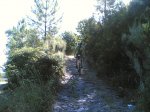 Por guisando 10- 08 - 2008 022.jpg