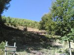 Por guisando 10- 08 - 2008 026.jpg
