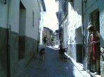 Por guisando 10- 08 - 2008 038.jpg