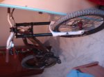 DSC01193.JPG