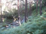 IMG_3660_redimensionar.JPG