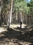 IMG_3671_redimensionar.jpg