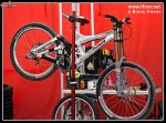 DSC8157.jpg