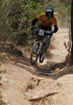 DSC_0037.jpg