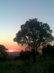 Imagen025.jpg