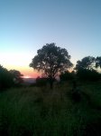 Imagen026.jpg