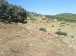 DSC00890.jpg