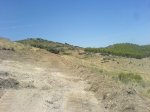 DSC00891.jpg