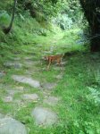 DSC00407.jpg