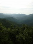 P8010071.jpg