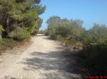 DSC00909.JPG