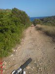 DSC00910.JPG