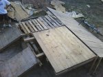 DSC00116.JPG