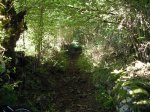 DSCN1590.jpg