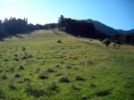 DSCN1616.jpg