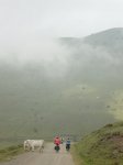 P8020157.jpg