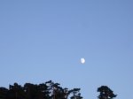 Foto9.JPG