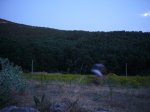 Foto17.JPG