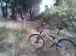 Imagen029.jpg