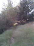 Imagen035.jpg
