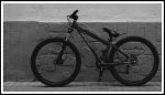 especialized-P200001.jpg